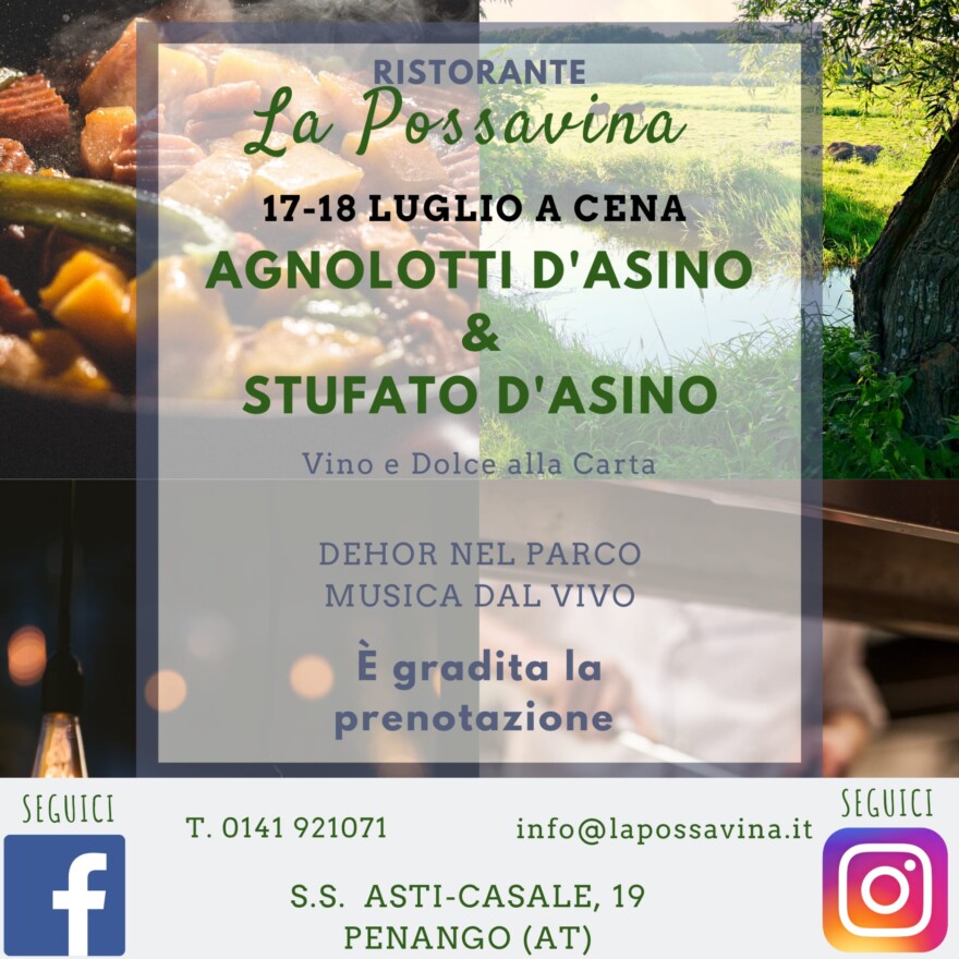 Asino Asino